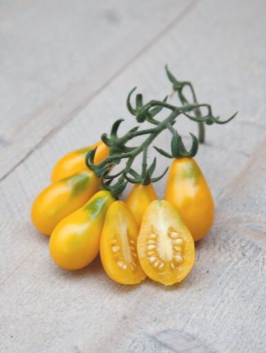Paradicsom - Yellow Pearshaped - 0,5g