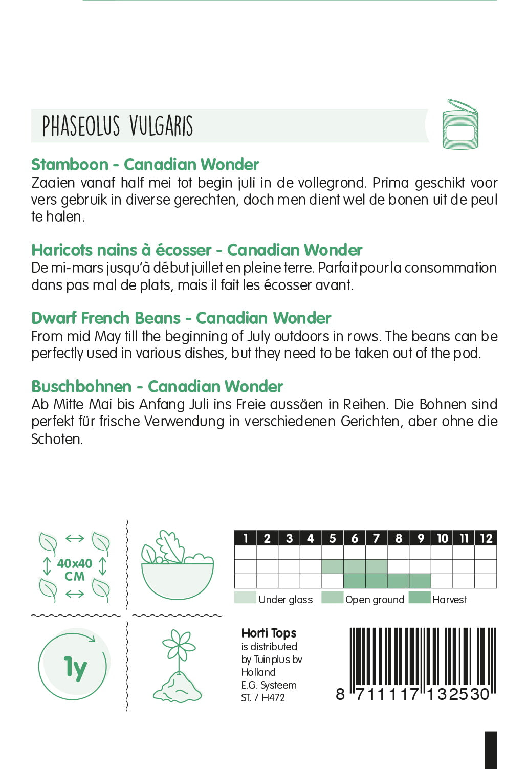 Francia Törpebab - Canadian Wonder - 15g