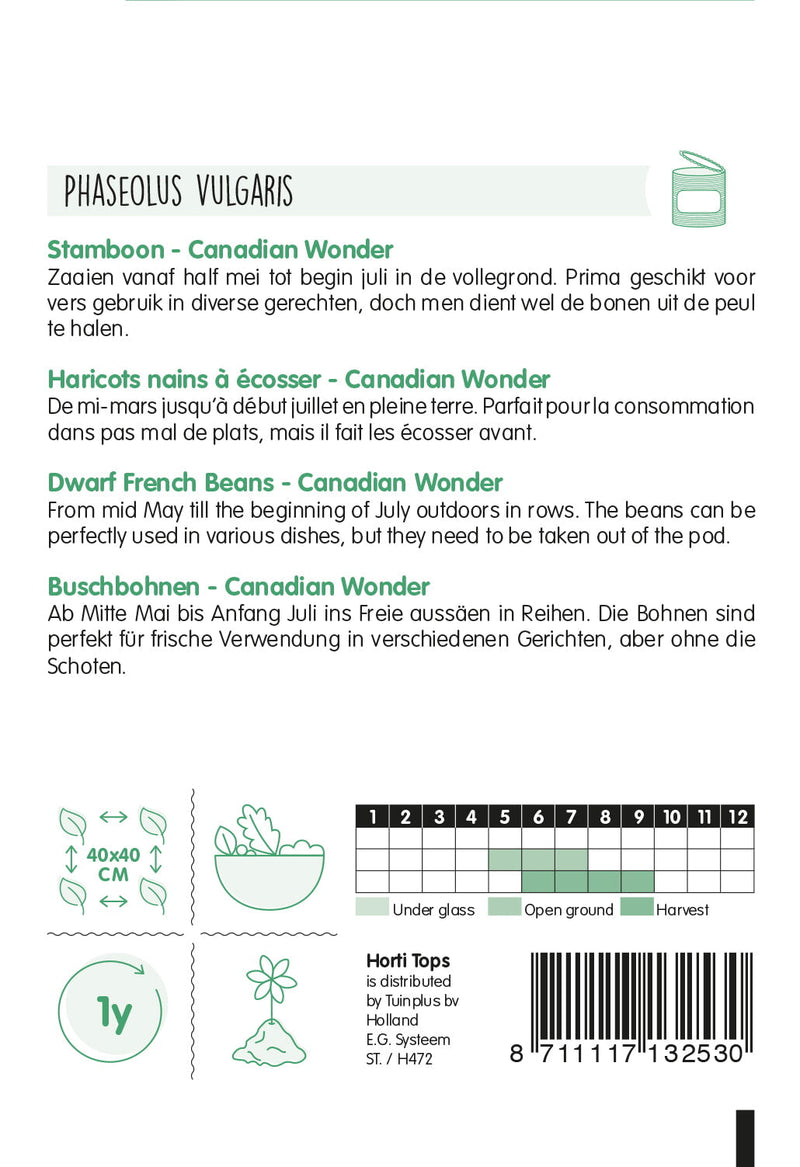 French Dwarf Beans - Canadian Wonder - 15g