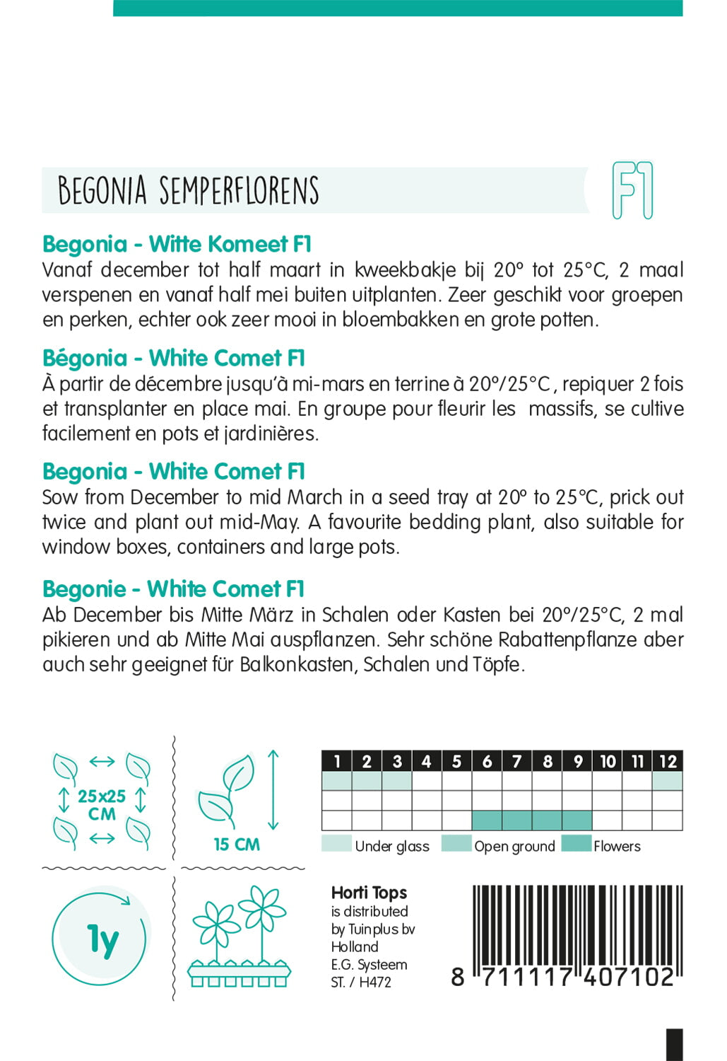 Begónia - Witte Komeet F1 - 700 Szem