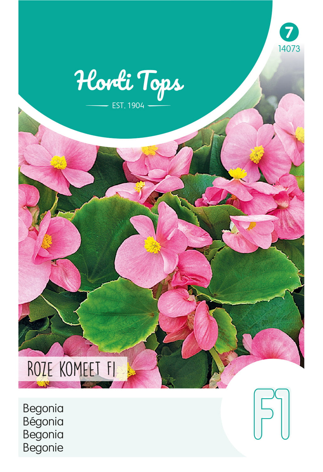 Begonia - Roze Komeet F1 - 700 Seeds