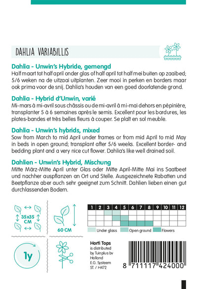 Dália – Unwin's Hybrids - 0,75g