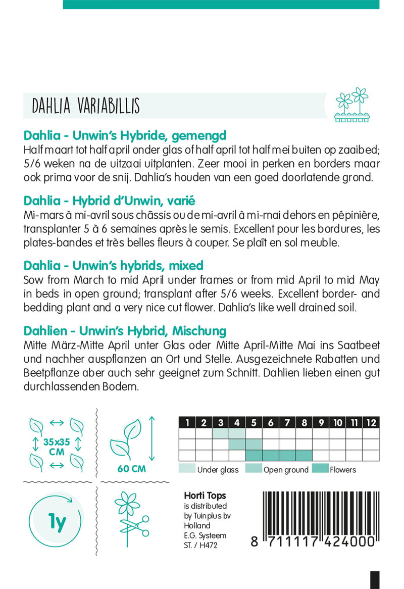 Dália – Unwin&
