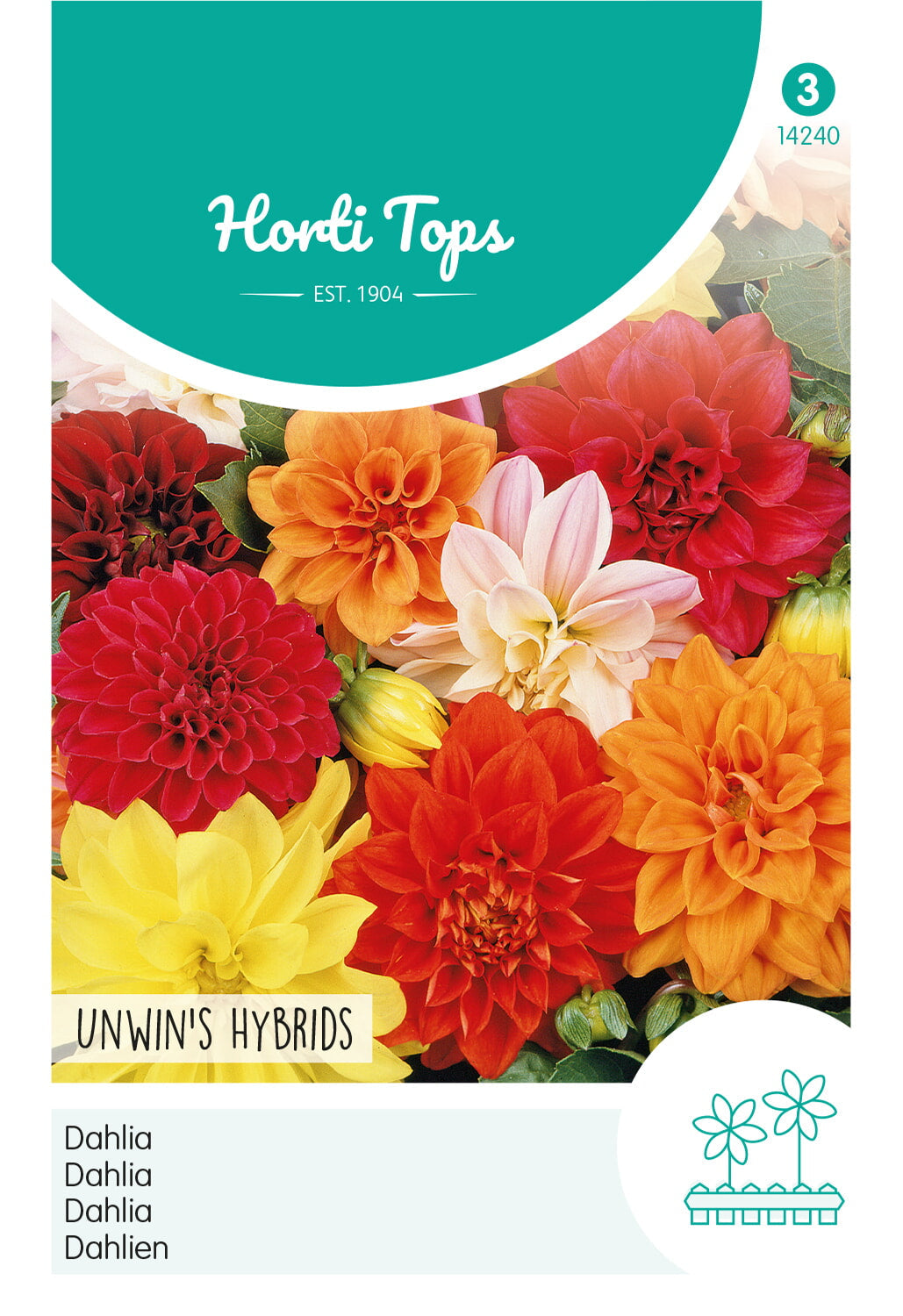 Dahlia - Unwin's Hybrids - 0,75g