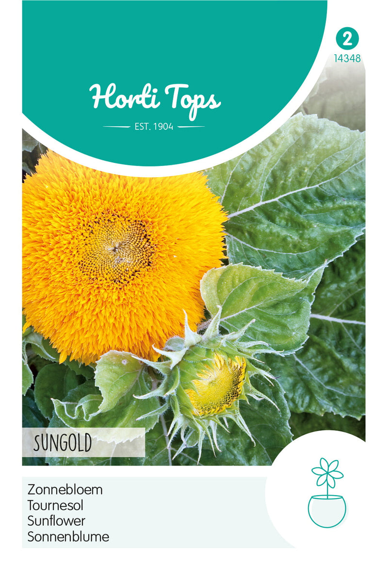 Sunflower - Sungold - 2g