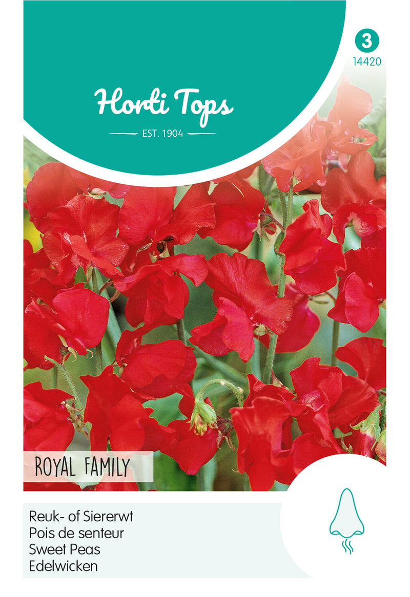 Szagos Bükköny - Royal Family Red - 4g