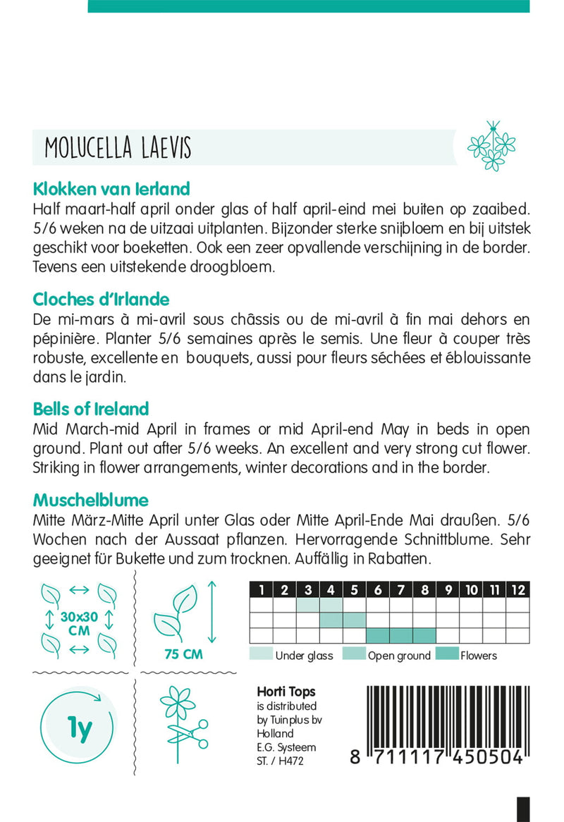 Kagylóvirág - Molucella - 0,75g