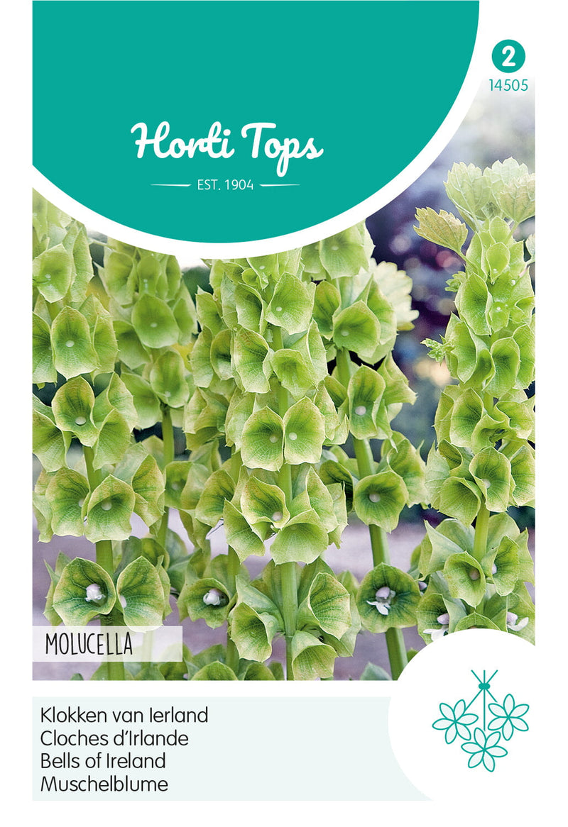 Kagylóvirág - Molucella - 0,75g