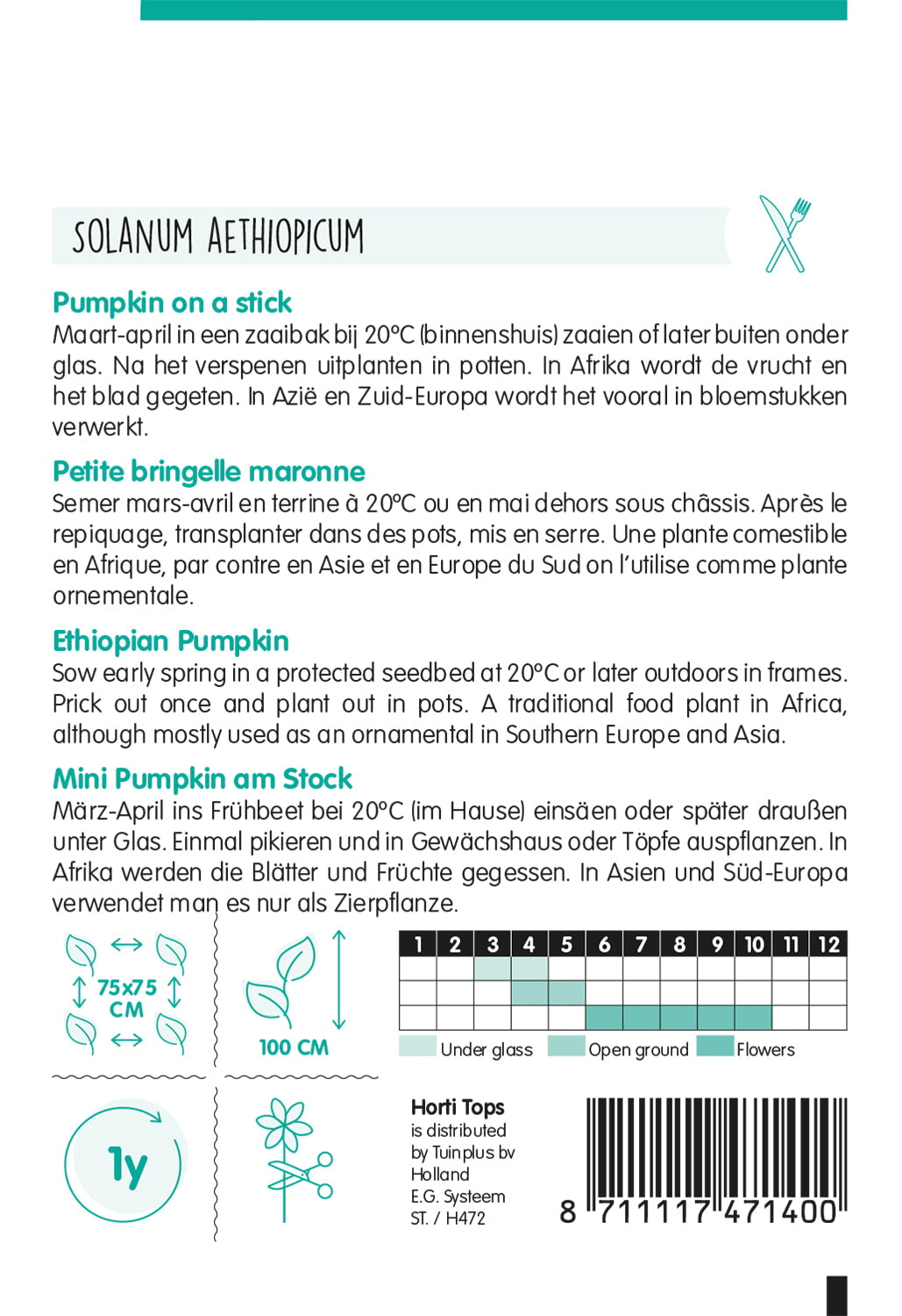 Etiópiai Padlizsán - 15 Szem