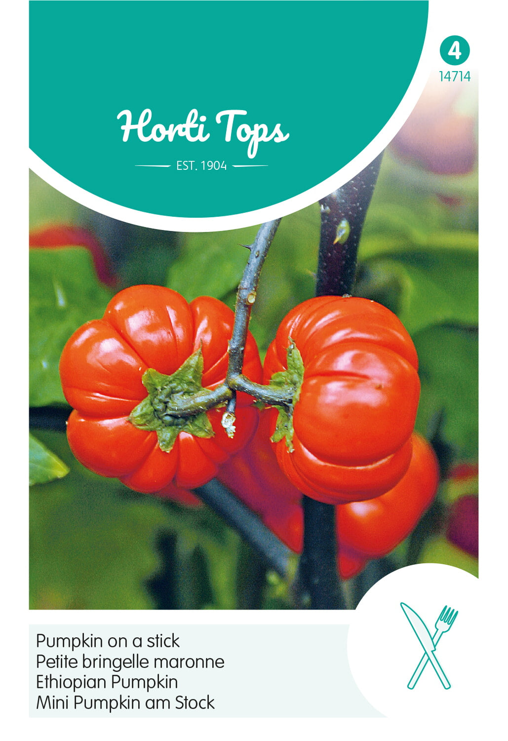 Etiópiai Padlizsán - 15 Szem