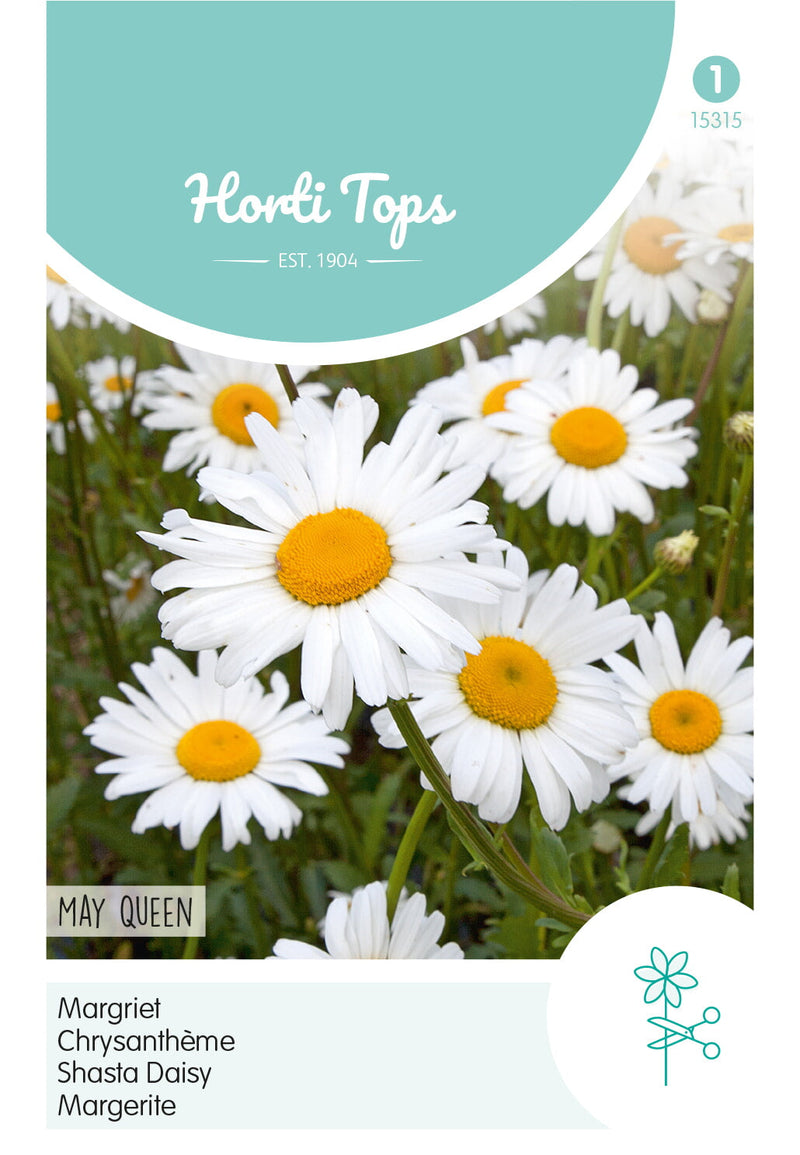 Shasta Daisy - May Queen - 0,75g
