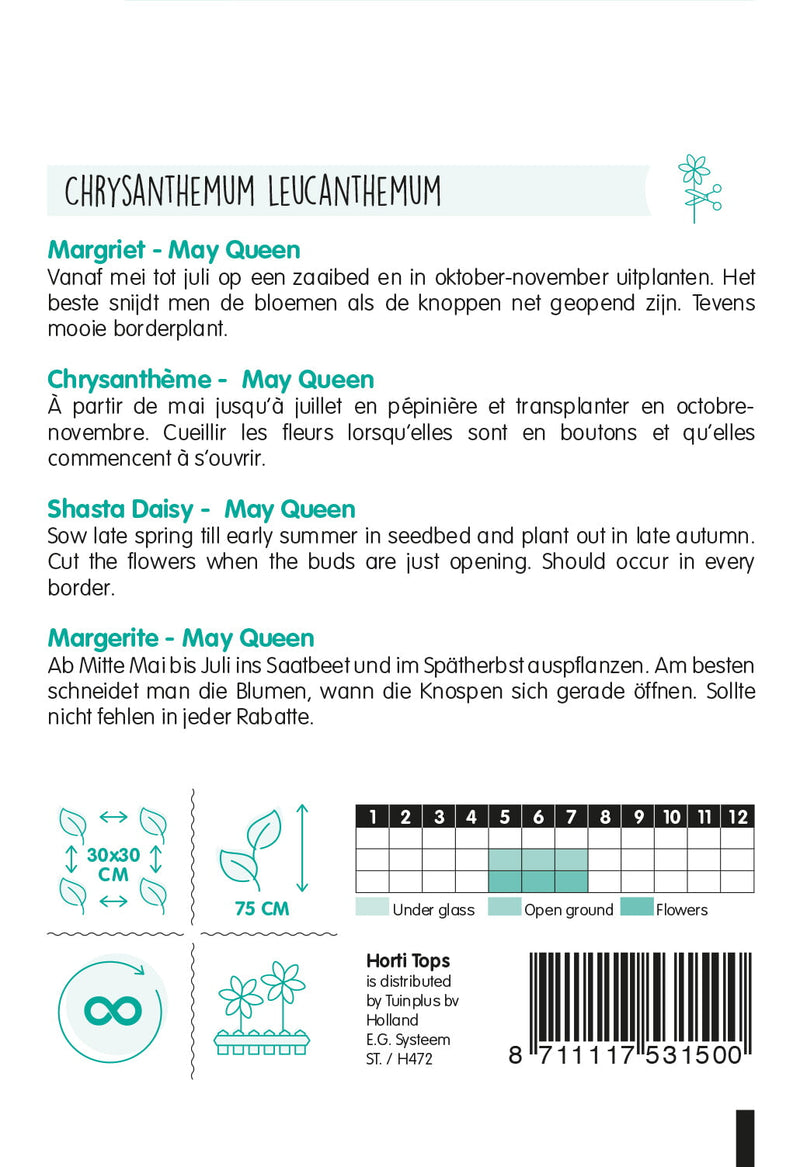 Shasta Daisy - May Queen - 0,75g