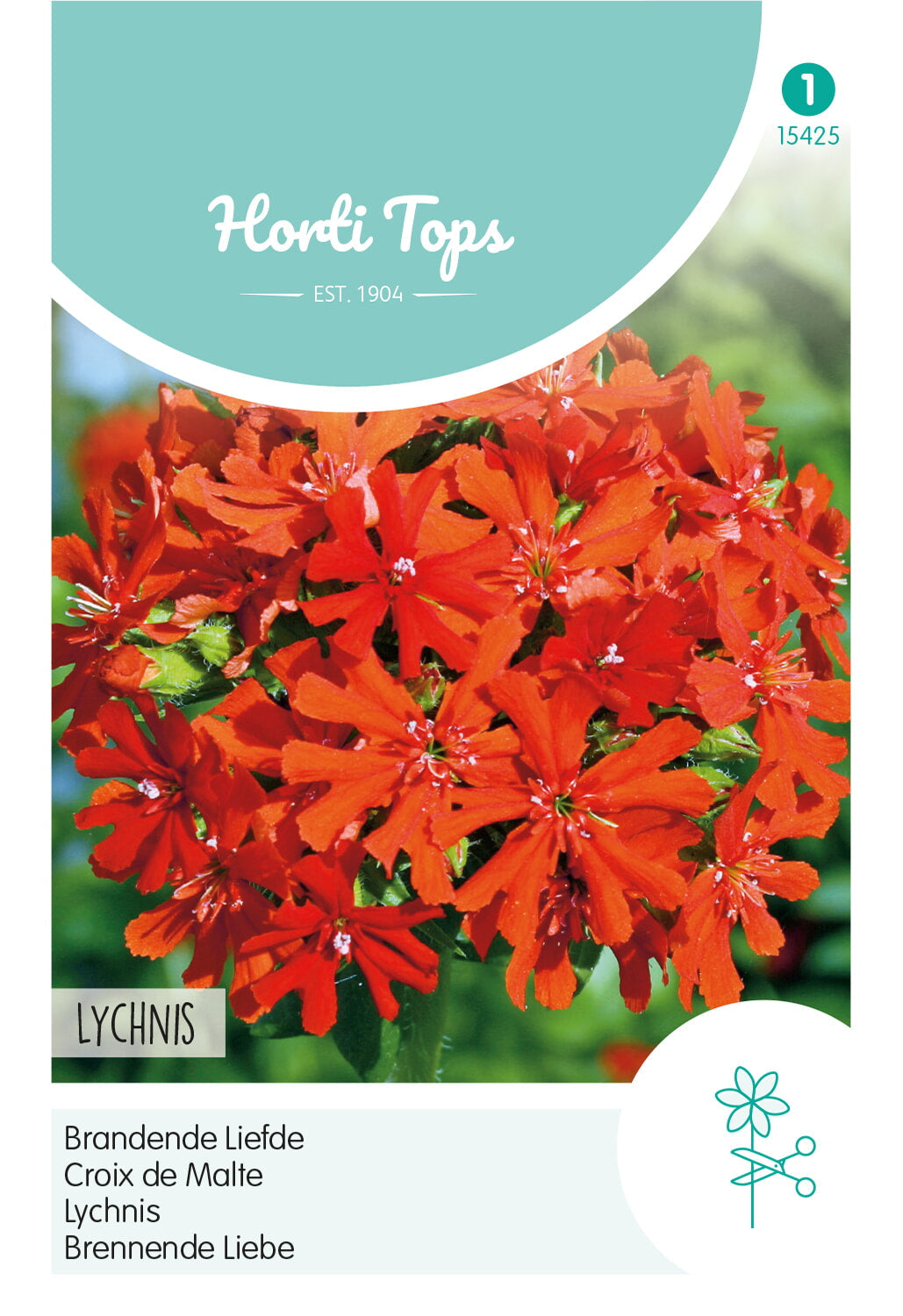 Lychnis - 0,25g