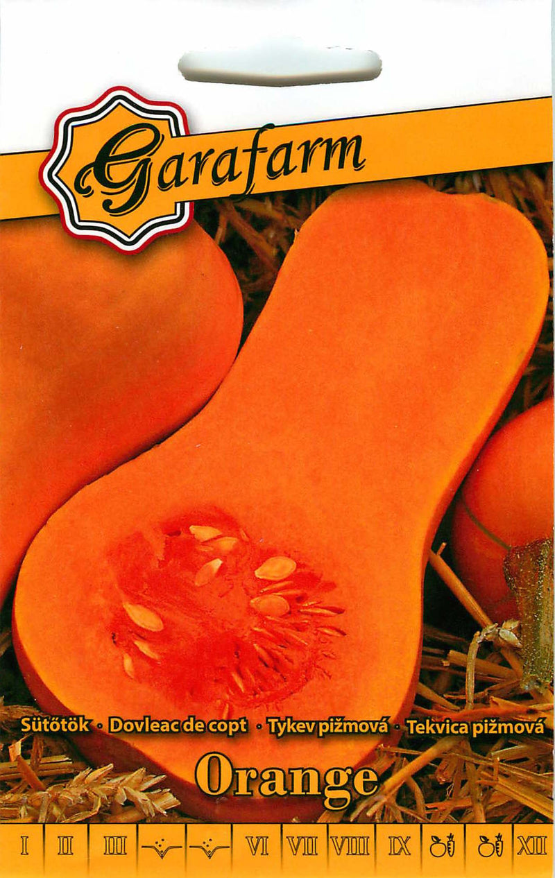 Pumpkin - Orange - 1g