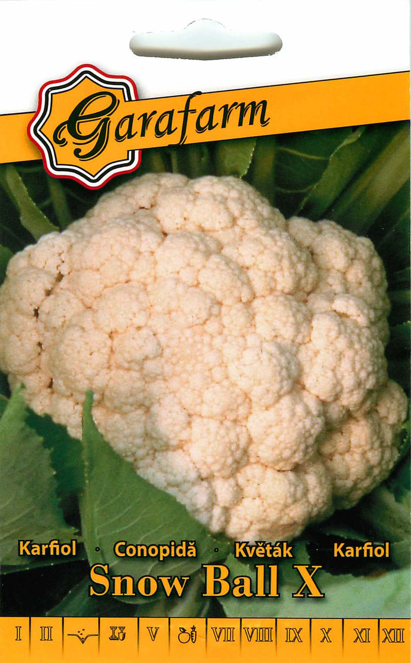 Karfiol - Snow ball X - 1g