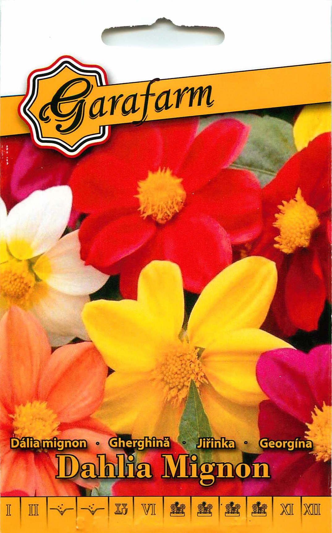 Dália Mignon - Színkeverék - 0,5g