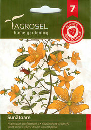 Közönséges Orbáncfű - 1,5g