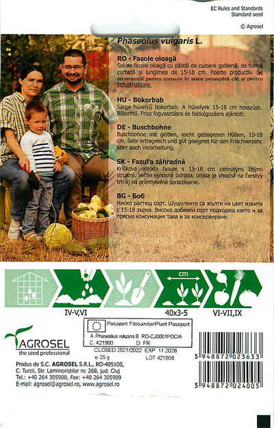 Bokorbab – Aurie de Turda - 25g