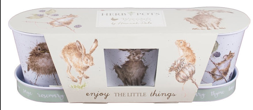Set of 3 Herb Pots with Tray - Mouse