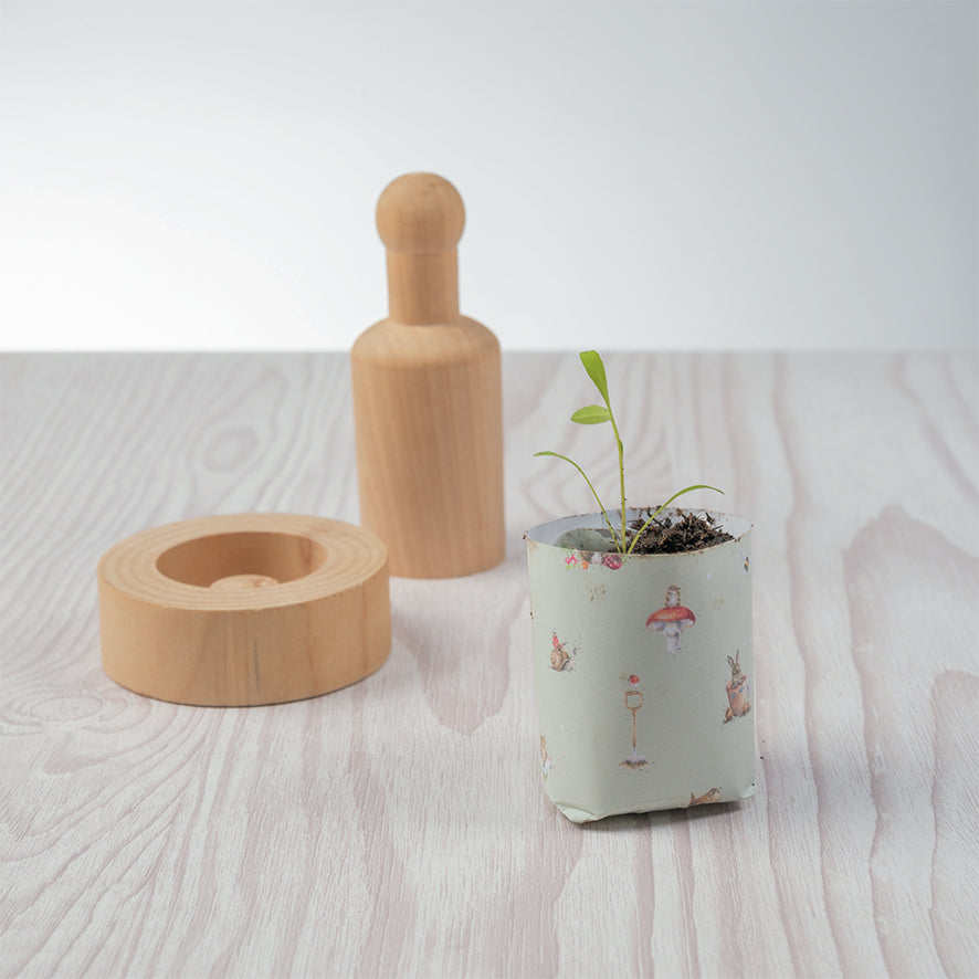 Born to be Wild Papírcserépnyomó