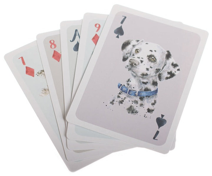 Playing Cards Gift Set-2