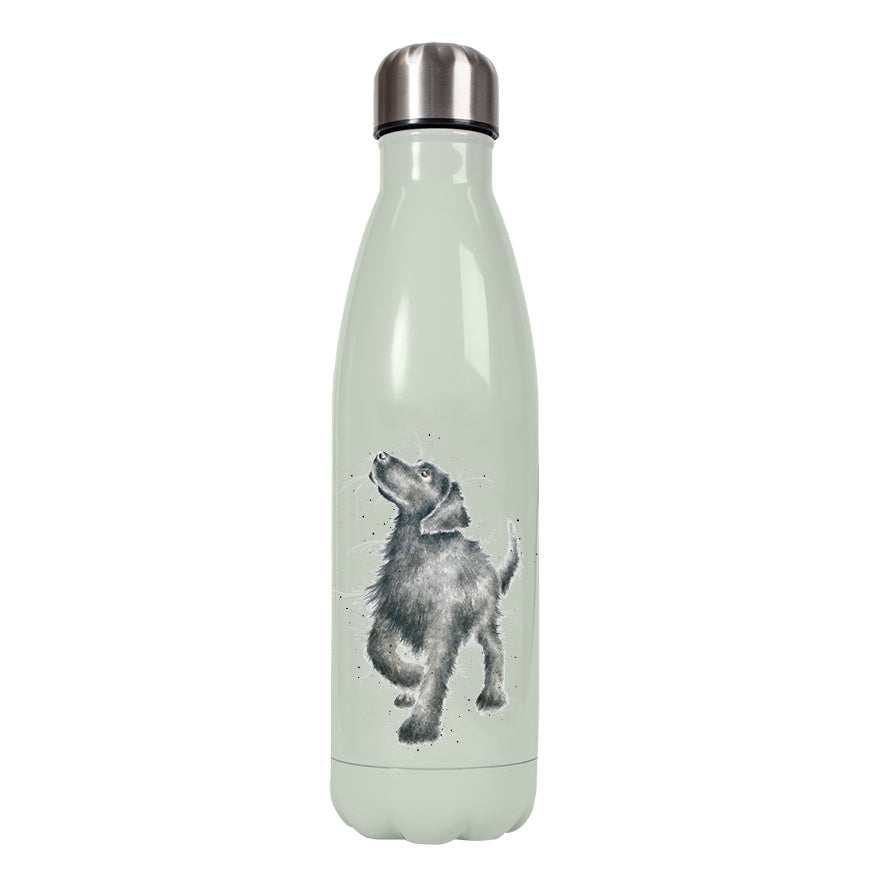 Water Bottle  - Dog - Hopeful-2